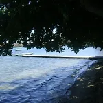 Apartments Darko - 30 M From Beach