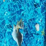 Studio Romantica In Zadar Mit Gemeinsamem Pool