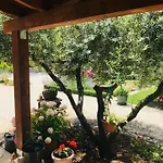 Apartment Green