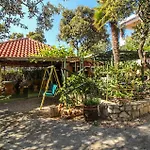 Awesome Apartment In Mandre With House Sea View