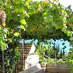 House Antun