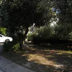 Apartments Zlatko - 100M From Sea