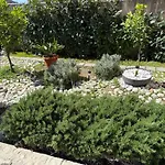Lemon Tree Dubrovnik Apartments