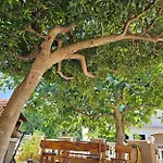 Apartment Ivica