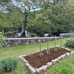 Holiday House Green Dream