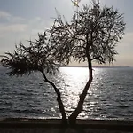Villa Punta
