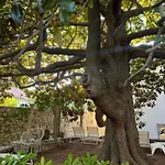 Bed & Breakfast- La Villa Lopud