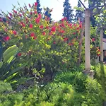 Apartman Karmela