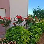 Zatonka Apartments