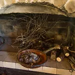 Klimatisiertes Gaestezimmer Mit Pinienwaldblick