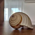 Apartman Danica