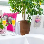 Apartment Rina