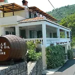 Winery Bacic