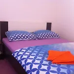 Apartment Luna