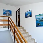 Apartments Ivica & Andriana