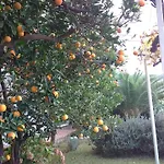 Apartments Jelen