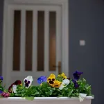 Apartmani Sunset Rogotin