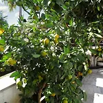 Dalmatian Coast Apartment W/ Garden & Sea View, Near Zadar - Moments F