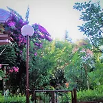 Apartmani Matas Petrcane