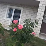 Apartman Tea