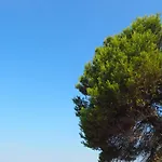 Apartman Stura 1