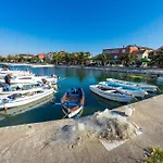 Palm Bibinje