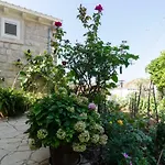 Apartments Bozica