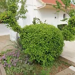 Apartman La Maison