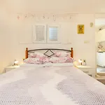Studio Ibis