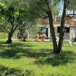 Punta Marea - Obiteljska Kuca Za Odmor Uz More