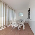 House Ribnica