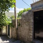 Apartment Pejton