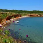 Apartman Kozjak Vir