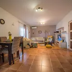 City Apartment Magdalena