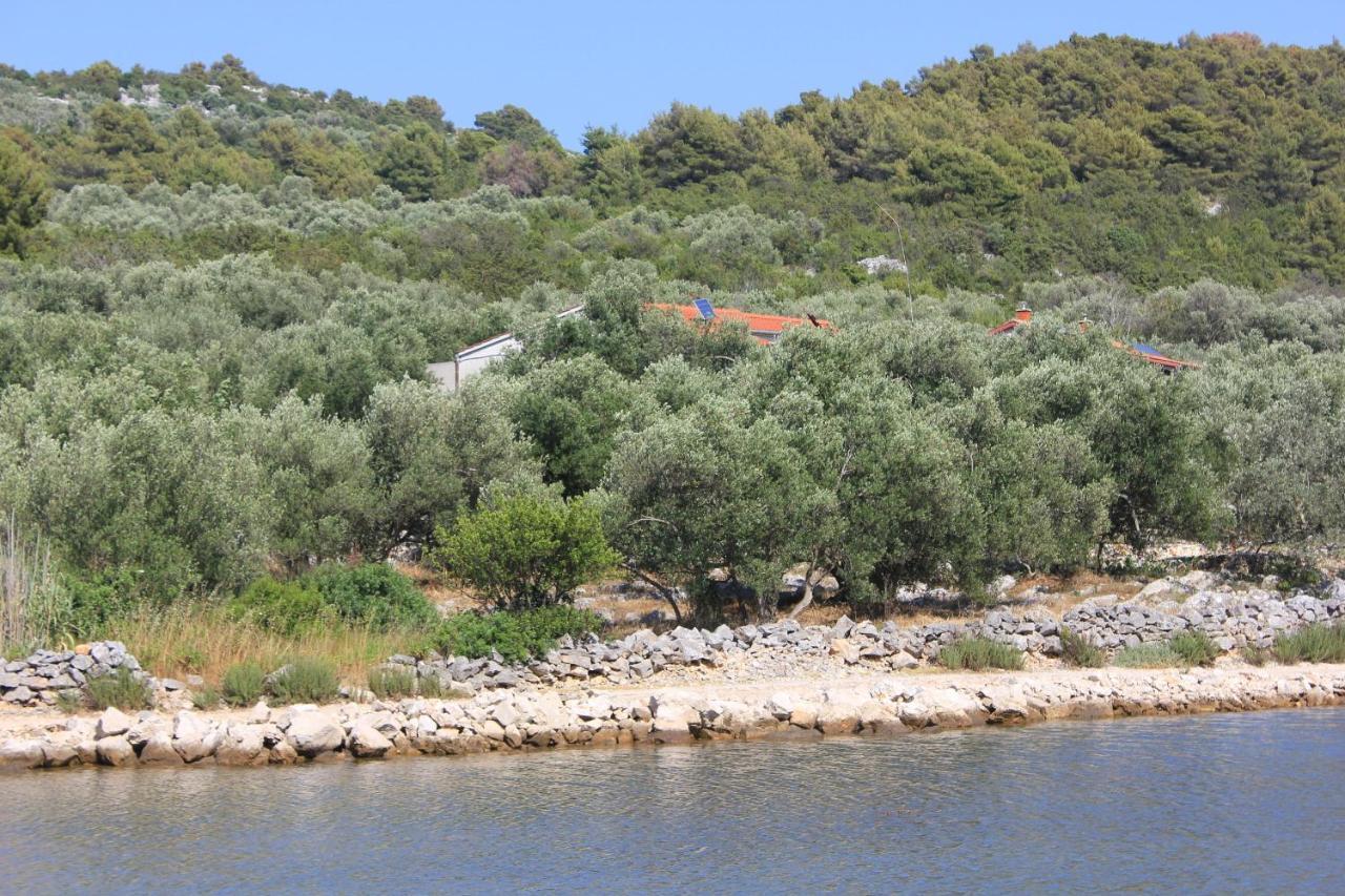 Seaside Secluded Cove Magrovica - Telascica, Dugi Otok - 8139 Sali